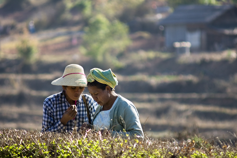 20110209_Myanmar_DSC08005