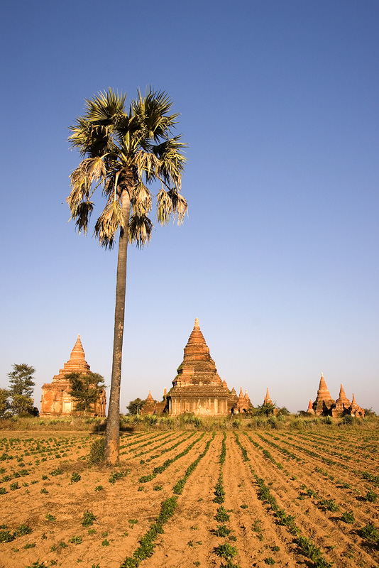 20110207_Myanmar_DSC07890