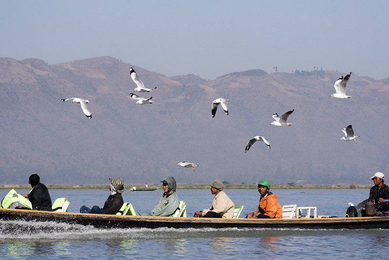 20110212_Myanmar_DSC08616