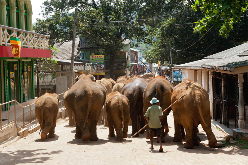 20120402_Sri Lanka_DSC04362