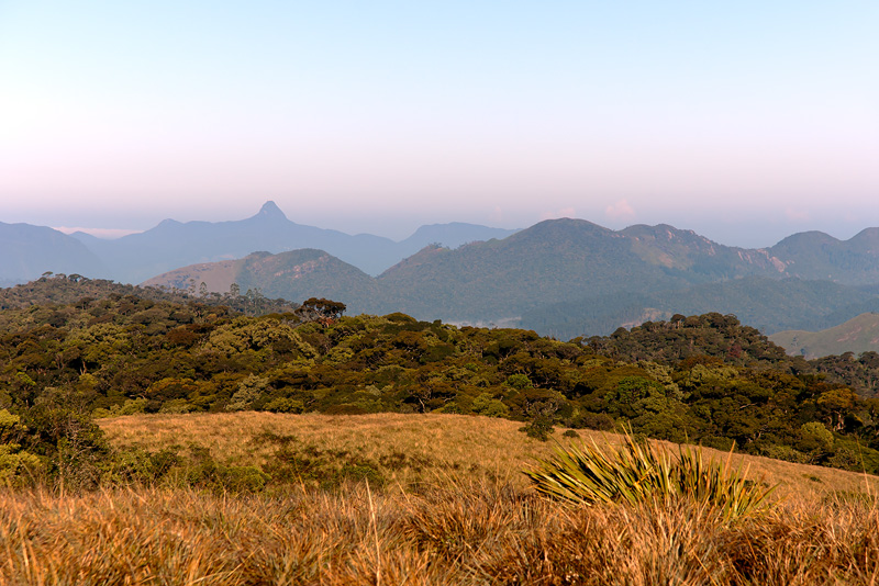 20120406_Sri Lanka_DSC04515