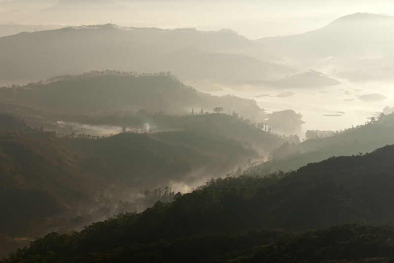 20120407_Sri Lanka_DSC04631