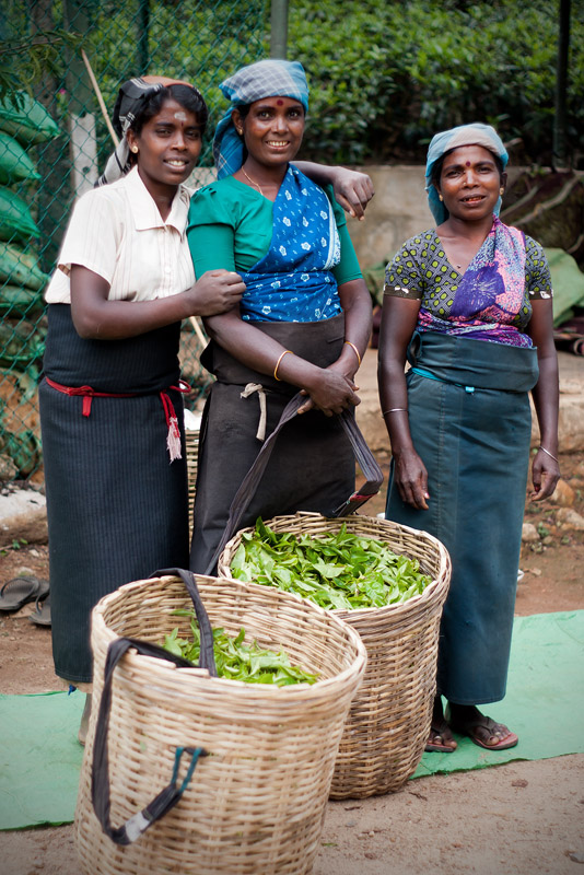 20120407_Sri Lanka_DSC04658