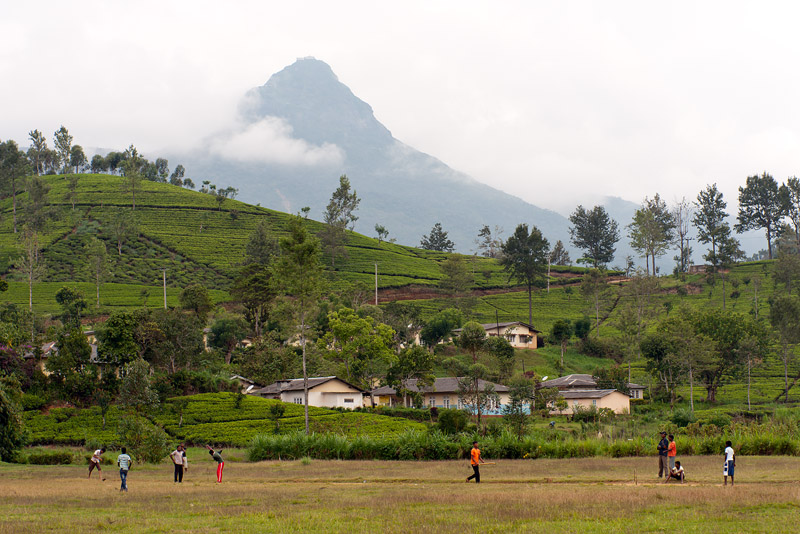 20120407_Sri Lanka_DSC04668