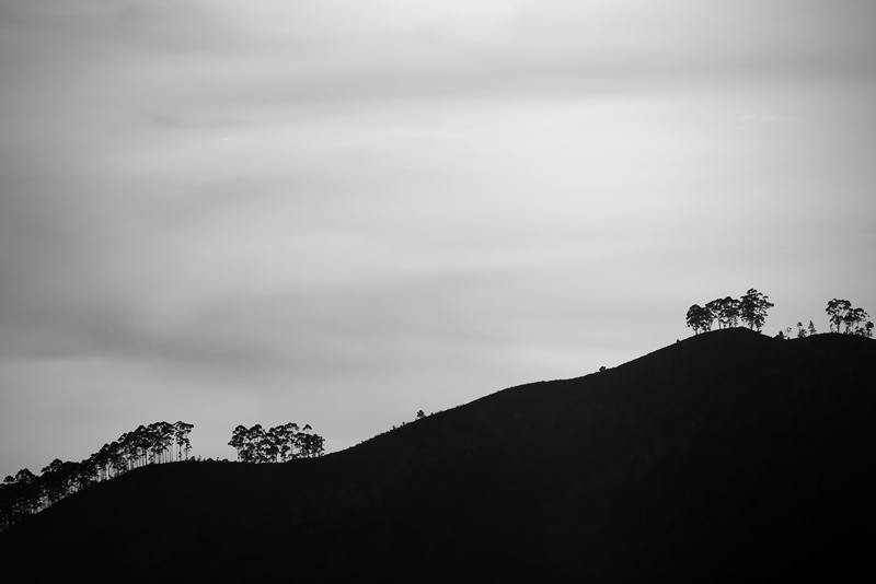 20120410_Sri Lanka_DSC04810_BW