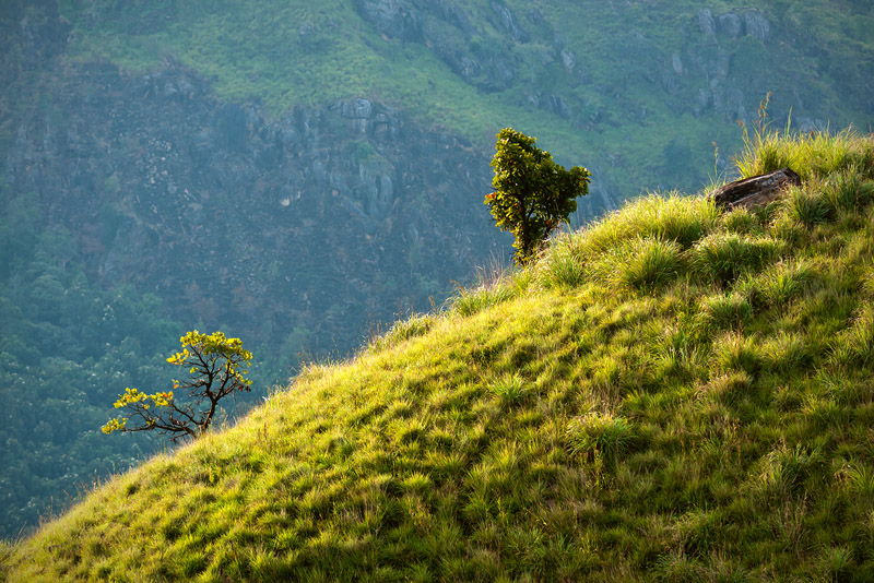 20120410_Sri Lanka_DSC04812