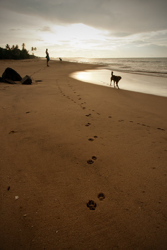 20120412_Sri Lanka_DSC04852