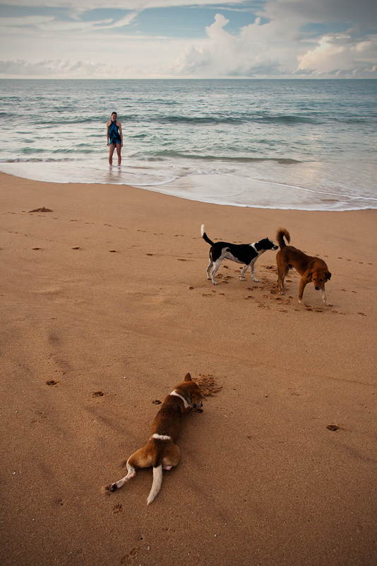 20120412_Sri Lanka_DSC04858