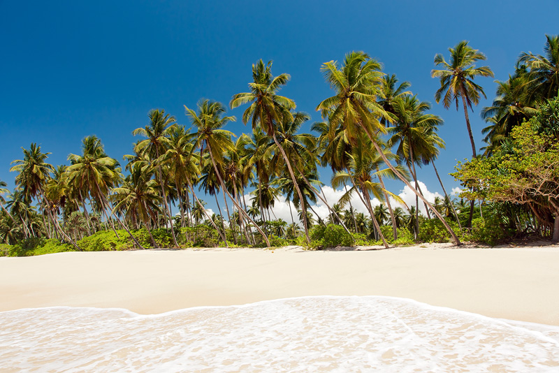 20120413_Sri Lanka_DSC04988