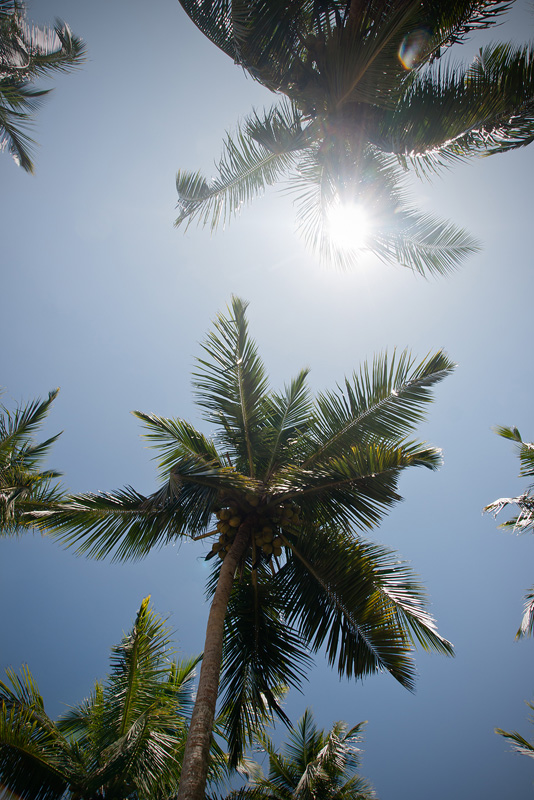 20120413_Sri Lanka_DSC04997