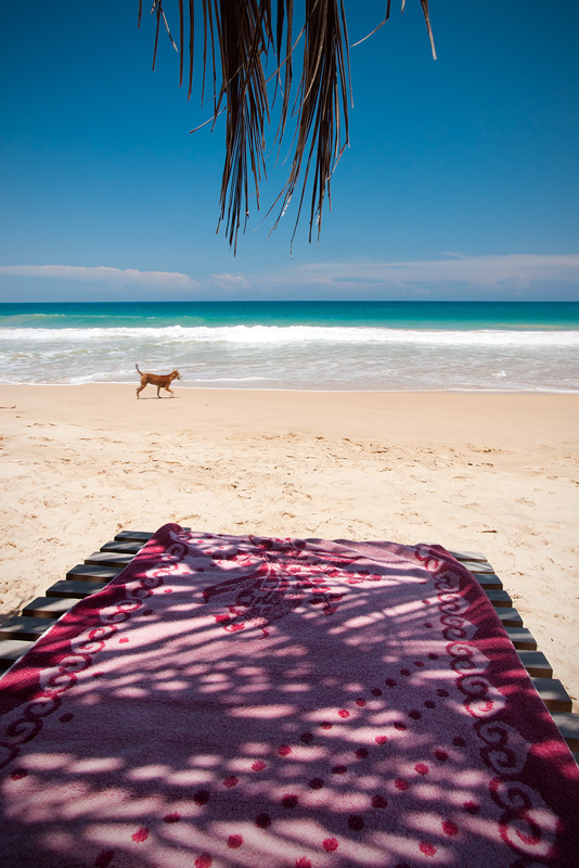 20120413_Sri Lanka_DSC05004